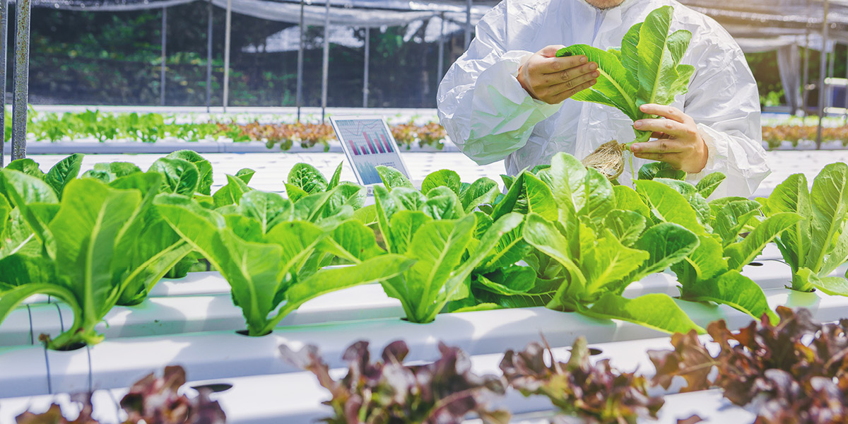 Should We All Be Vegan?