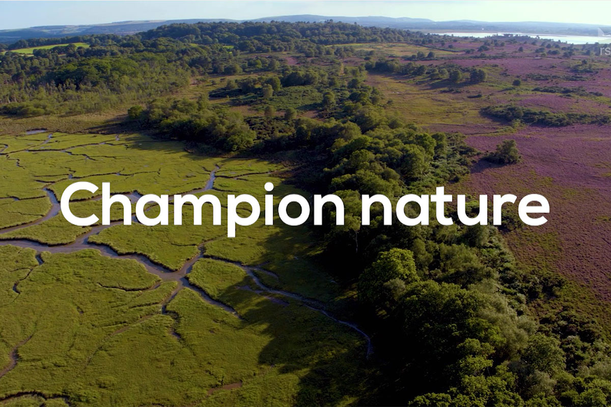 Still for RSPB video