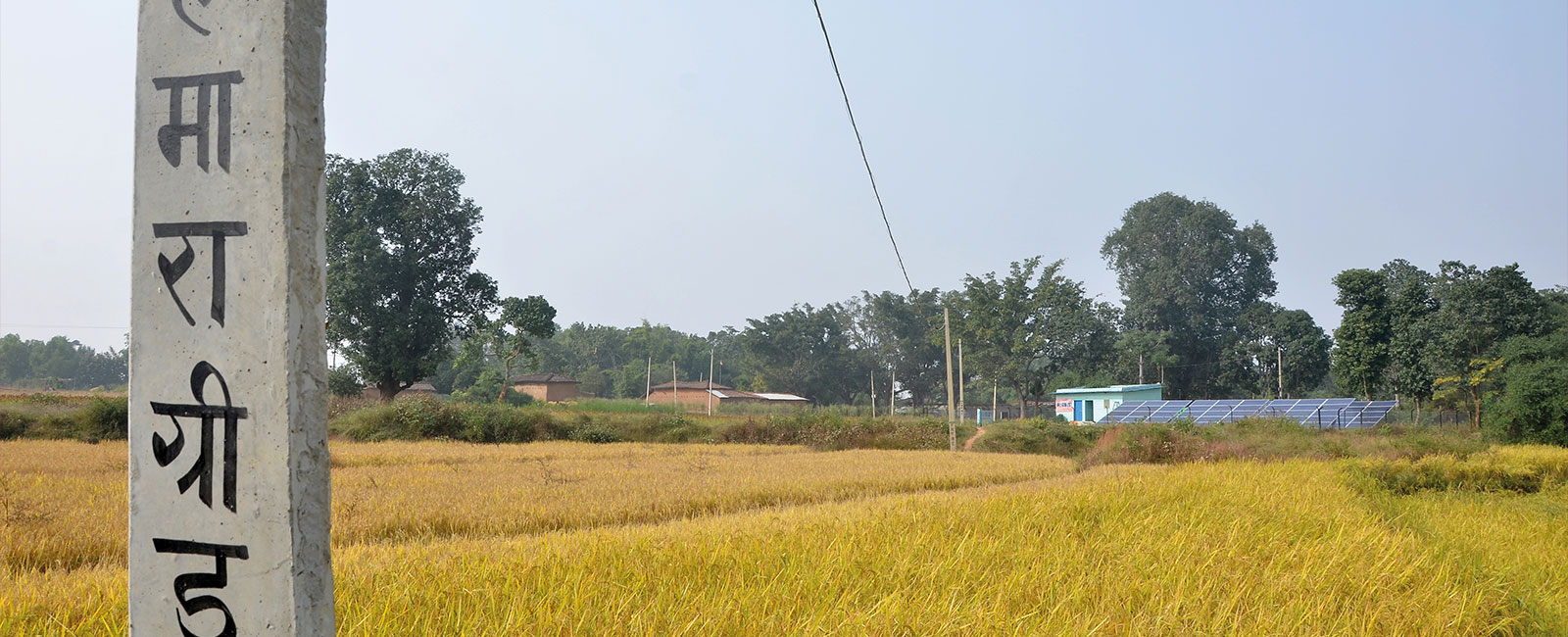 Mlinda Foundation <br></noscript> Multiple Positions