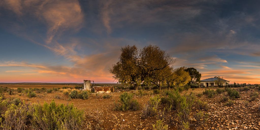 Landscape of farm in the global South