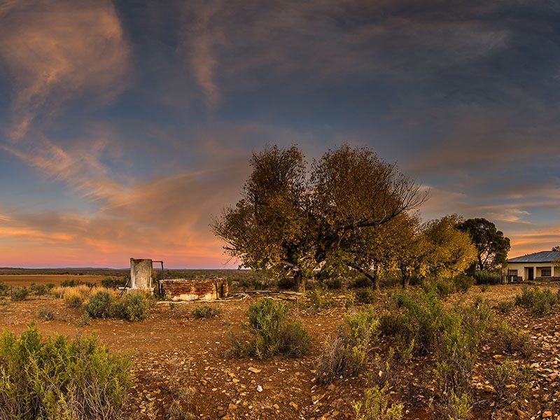 Landscape of farm in the global South