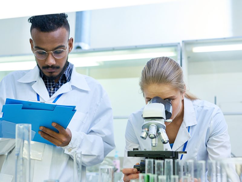 Two young scientists investigating