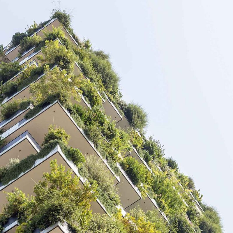 Photo of building from below with living walls