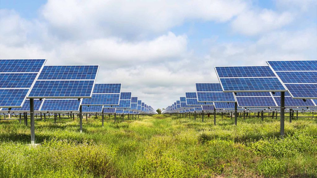 Field of solar panels