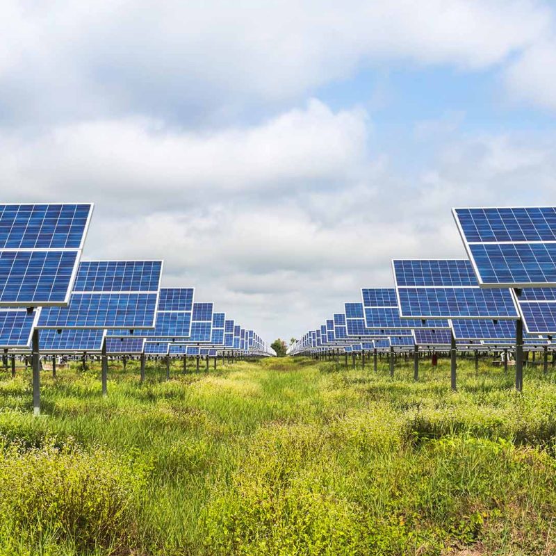 Field of solar panels