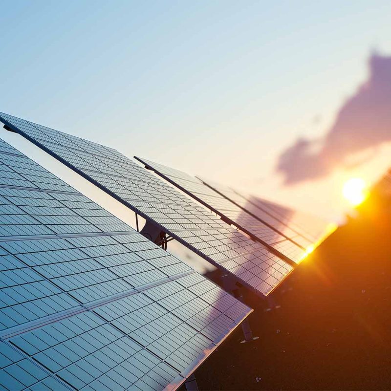 Sunset reflects off solar panels