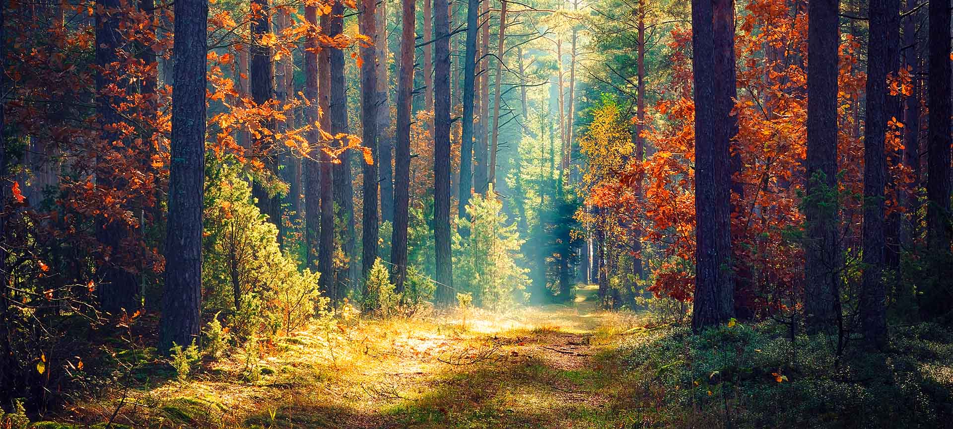 The Voices of Conservation: <br></noscript> <h4>Ana Di Pangracio (FARN), Paul Kariuki Ndang’ang’a (BirdLife International), Zoe Quiroz Cullen (Fauna & Flora) and Sebastian Troëng (Conservation International)</h4>