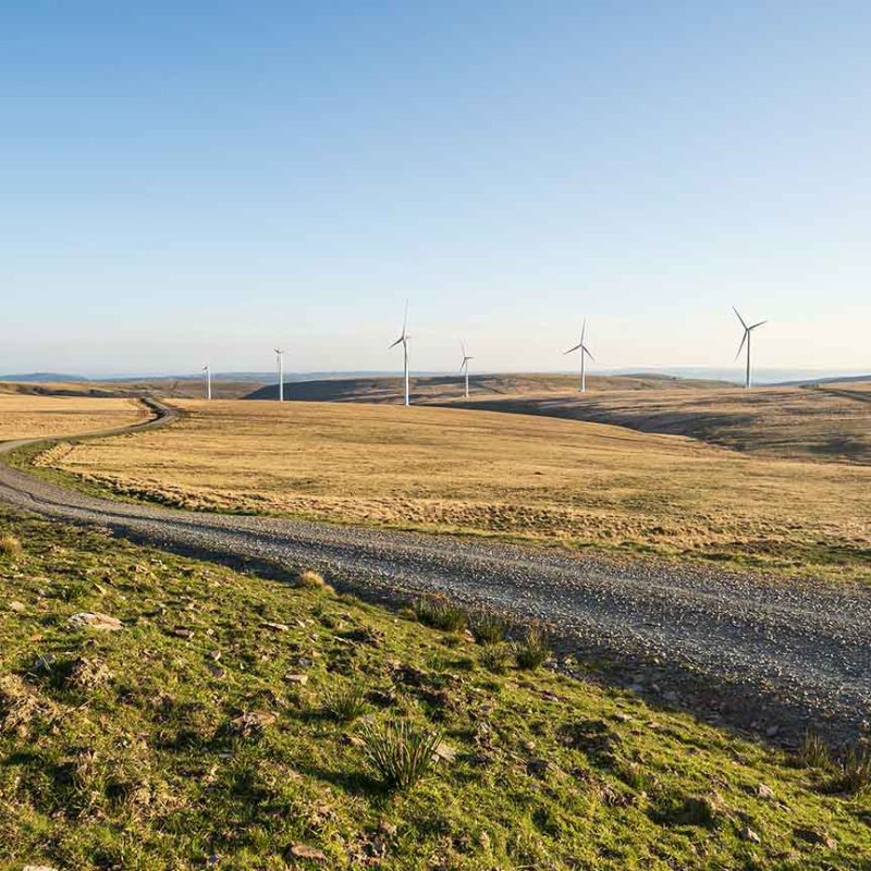Green landscape with Wind farm