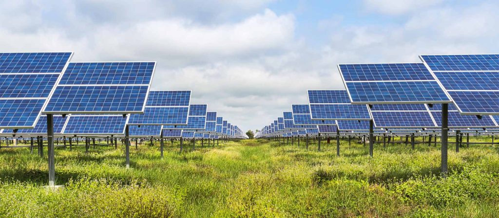 A field full of solar panels