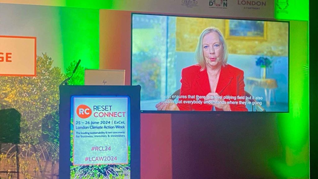Photo of Deborah Meaden speaking onscreen at Reset Connect