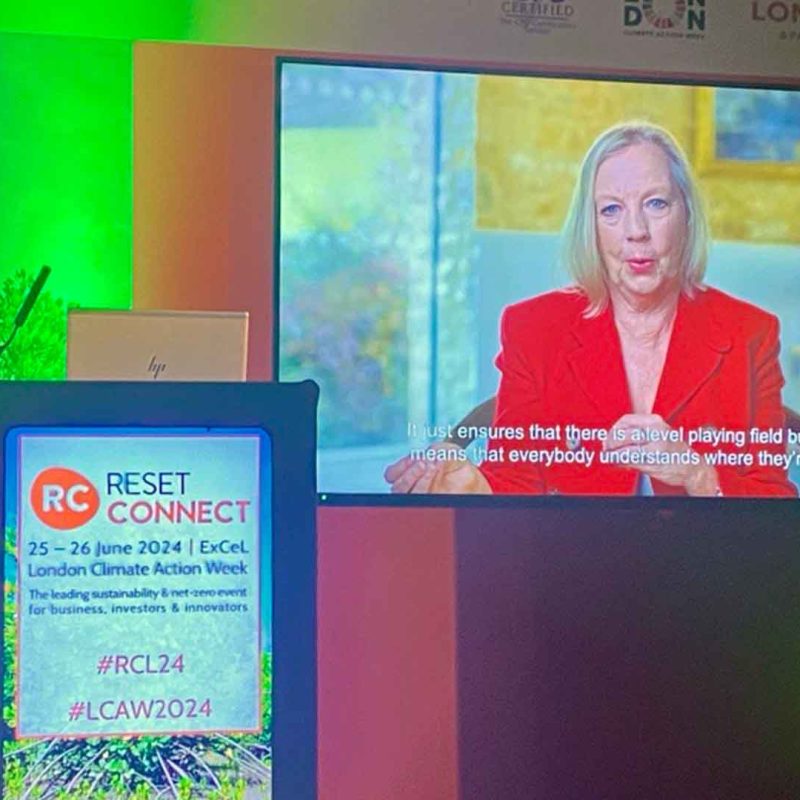 Photo of Deborah Meaden speaking onscreen at Reset Connect