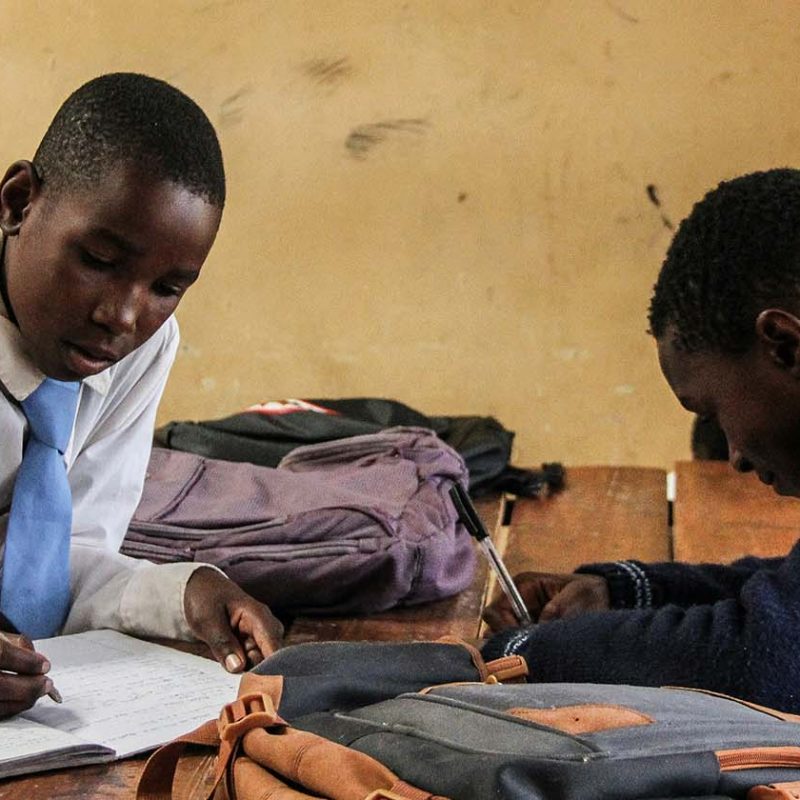Two young male students