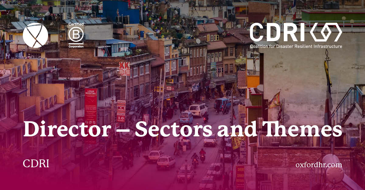 CDRI - Director, Sectors and Themes