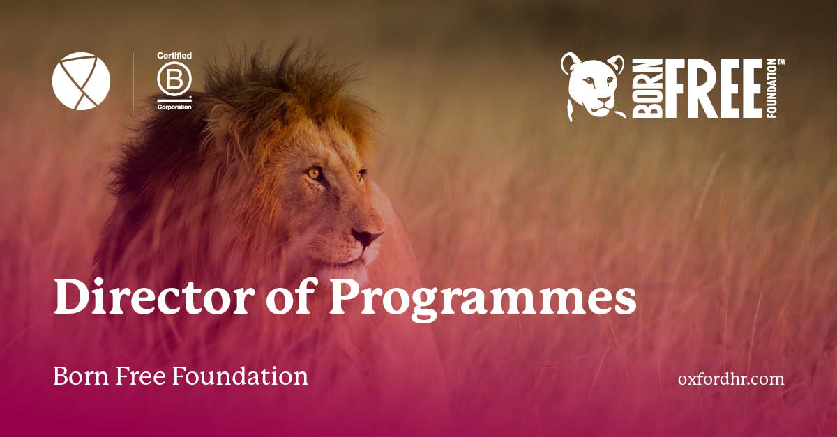 Born Free Foundation - Director of Programmes