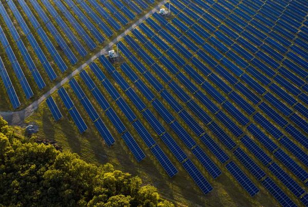 Bird's eye view of a solar farm
